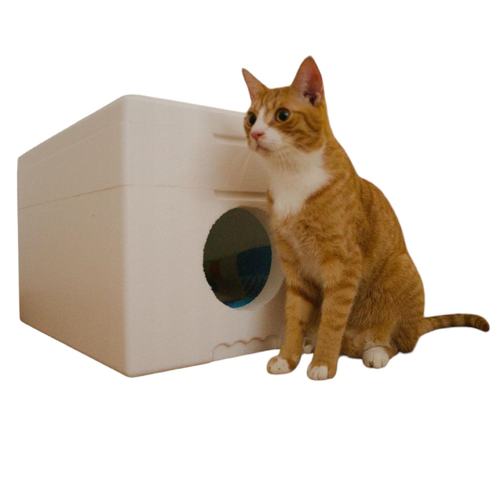 QLS Niche pour chat en polystyrène résistante aux intempéries - 58 x 38 cm - Abri isolé pour l'extérieur