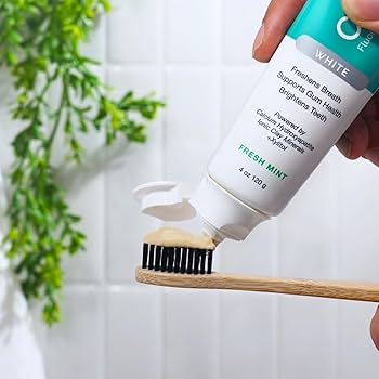 Amazon.com : Zion Health ClayBrite Mineral Toothpaste 4 oz White