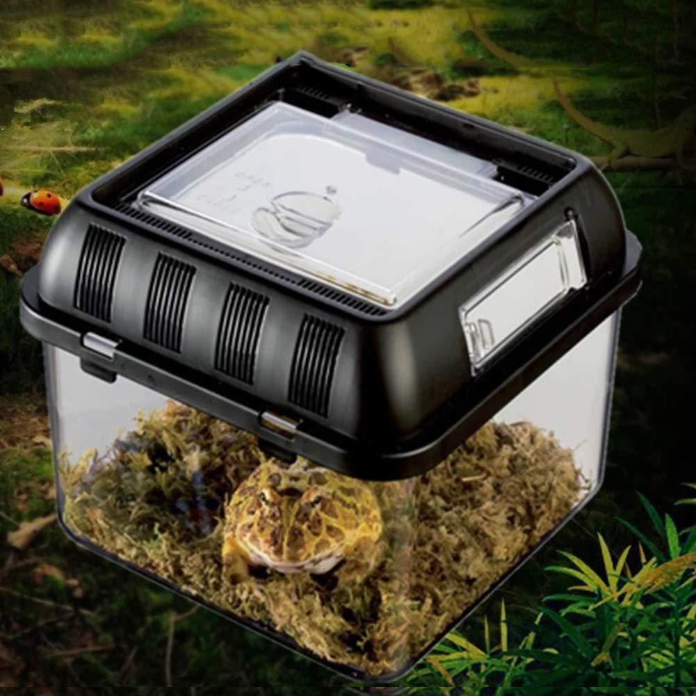 Buy Acrylic Box Reptile Terrariums Habitats Portable Cage Spider Horned