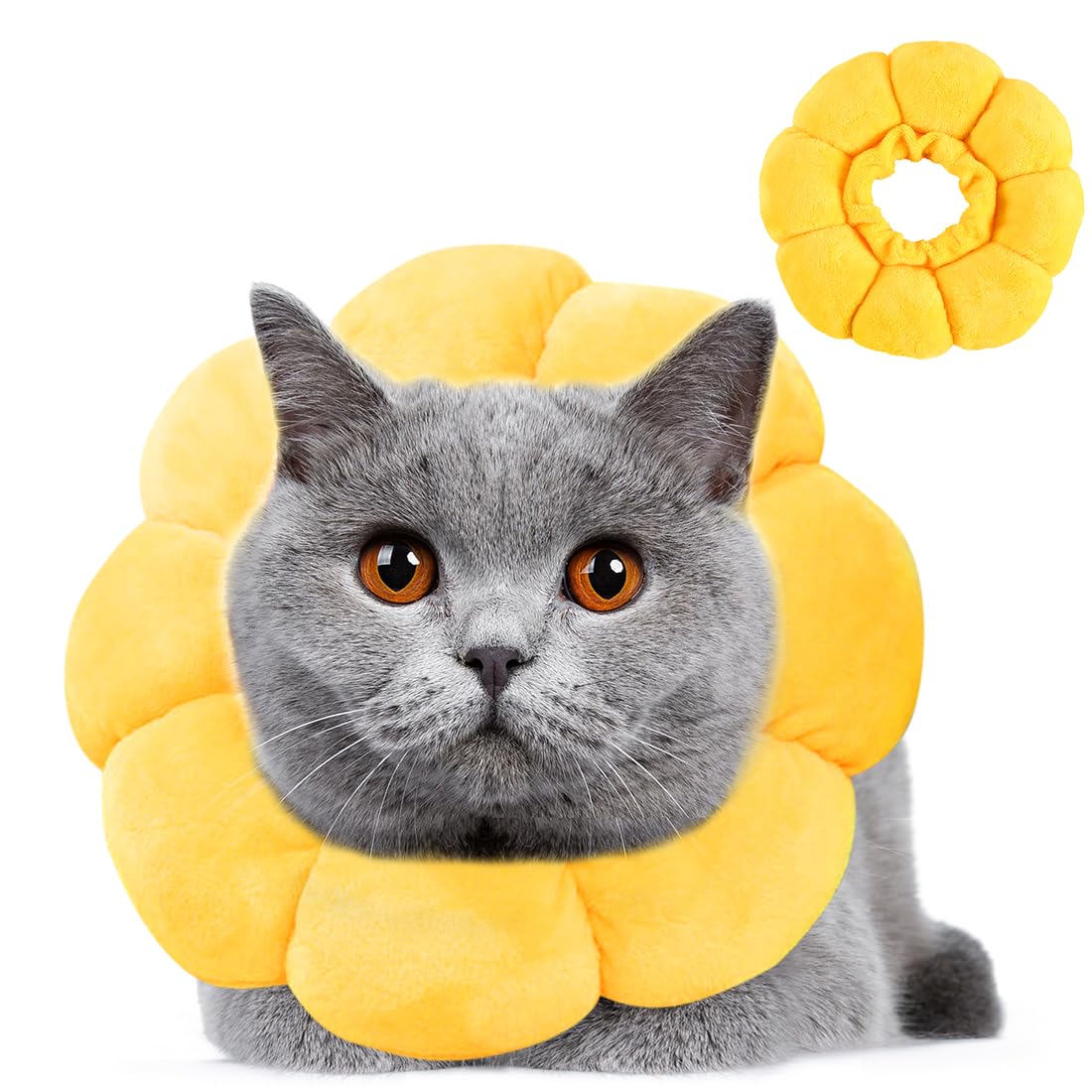 Wishstar Halskrause Katze Größen S, Leckschutz Katze, Weich Halskragen für Katzen Kleiner Hunde Nach Operation, Elisabethanischer Kragen, Sonnenblume Halskrause