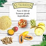 LAFEBER'S Tropical Fruit Nutri-Berries Pet Bird Food, Made with Non-GMO and Human-Grade Ingredients, for Cockatiels Conures Parakeets (Budgies) Lovebirds (Tropical Fruit 10 oz) - Image 5