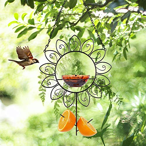 Forup Oriole Bird Feeder For Outdoors Jelly And Oranges, Orange Fruit Oriole Jelly Bird Feeder, Outdoor Garden Metal Hanging Drinking Grape Jelly Container Hummingbird Feeder, Flower Shape #TOP2
