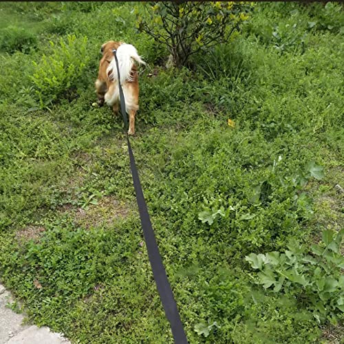 Btinesful Long Nylon Dog Leash For Dog/Puppy Obedience Recall Agility, 12Ft/20Ft/30Ft/50Ft Training Lead Thick Webbing Yard Outdoor Dog Leash (30 Feet, Black) #TOP5