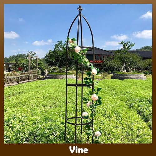 Lejoy Garden 100% Metal Obelisk Garden Trellis 6.3 Feet Tall Sturdy Plant Support For Climbing Vines And Flowers Stands,1Pc Upgrade thumb #3