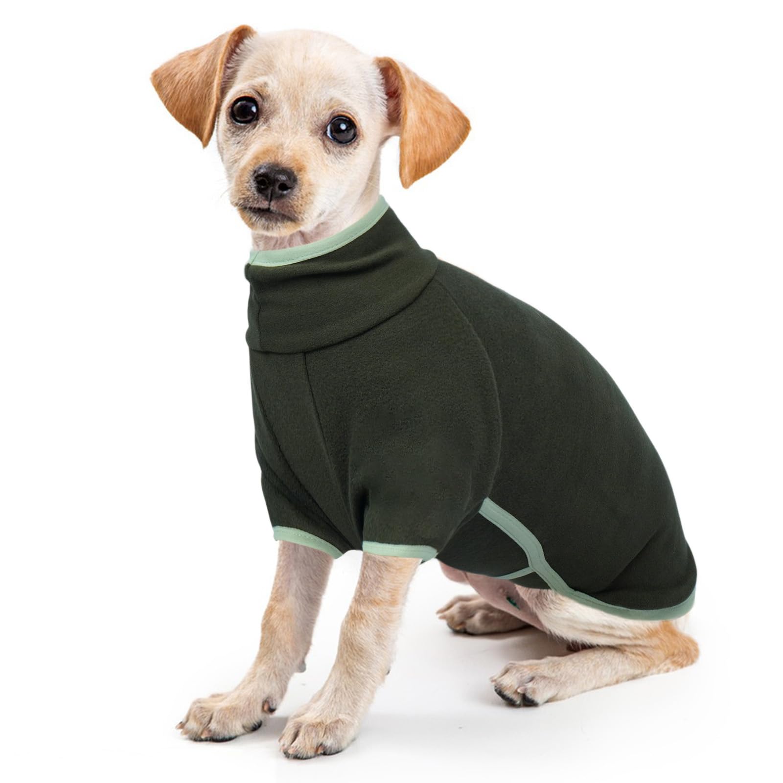 Small Dog Coat