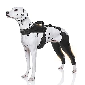 Dog Knee Brace for Pets with Cruciate Ligament Injuries - Keeps Joints Warm and Stable Upgraded Adjustable Leg