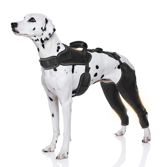 Dog Knee Brace for Pets with Cruciate Ligament Injuries - Keeps Joints Warm and Stable Upgraded Adjustable Leg