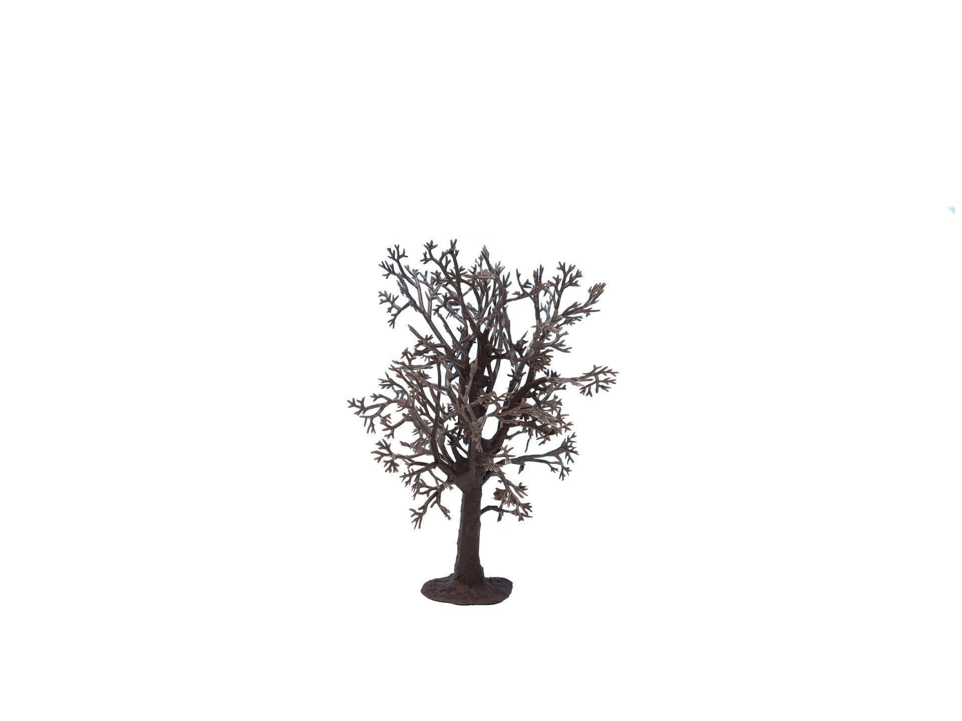 Noch 22010 Tree Structure Beech Landscape Modelling