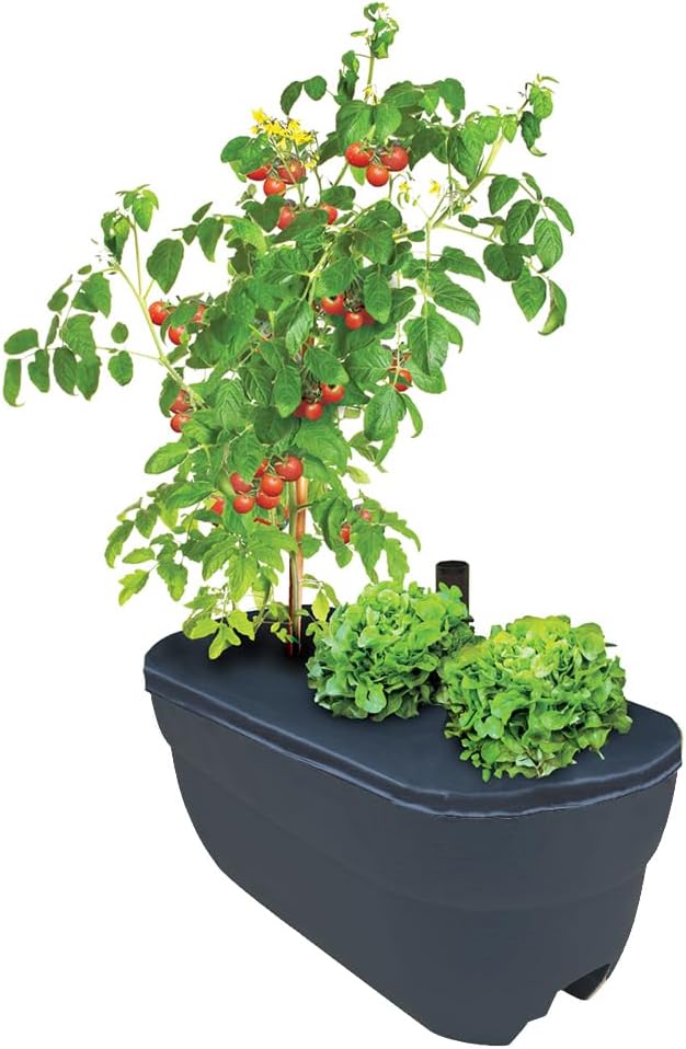 Rail Picker, Charcoal – 1/pk