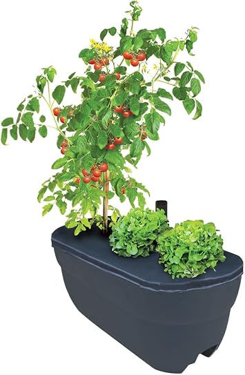 Rail Picker, Charcoal 1/pk