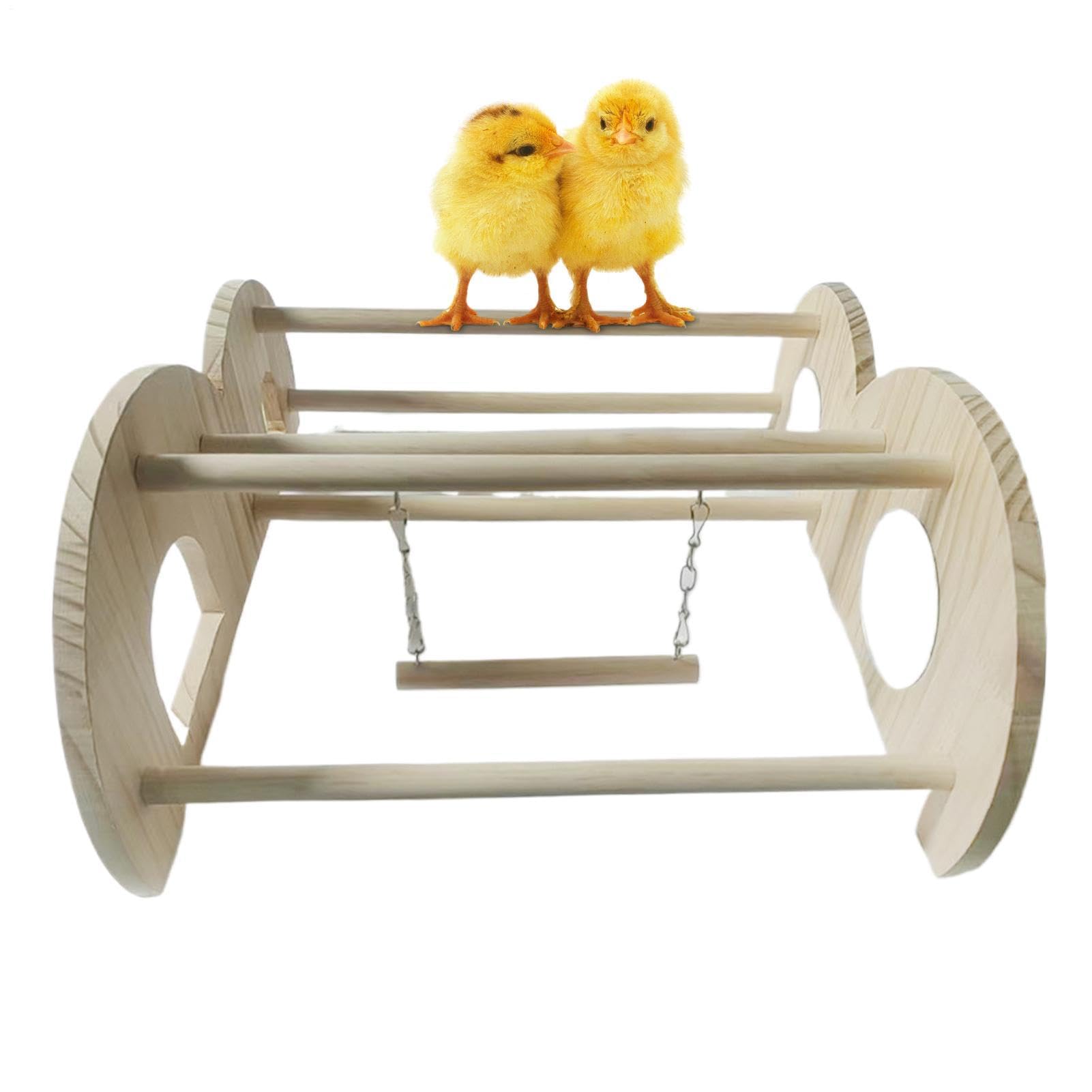 Swing de repos en bois pour poulailler et entraînement des poulets