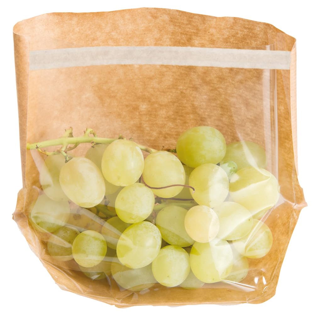 100 sachets avec fermeture par pression 300 x 400 Zip Sacs
