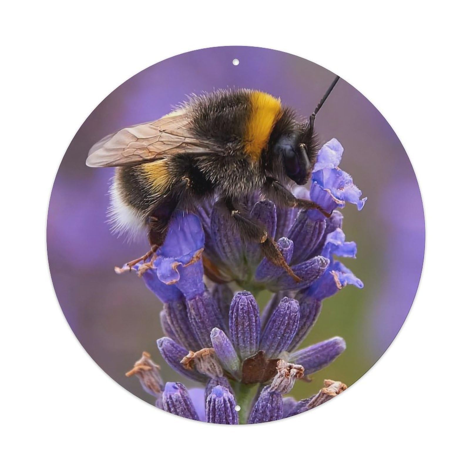 Animal Insects European Bumblebee Vintage Metal Tin Sign Plaque Wall Decor for Cafe, Club Bar, Office, Garden Metal Poster 8x8Inch