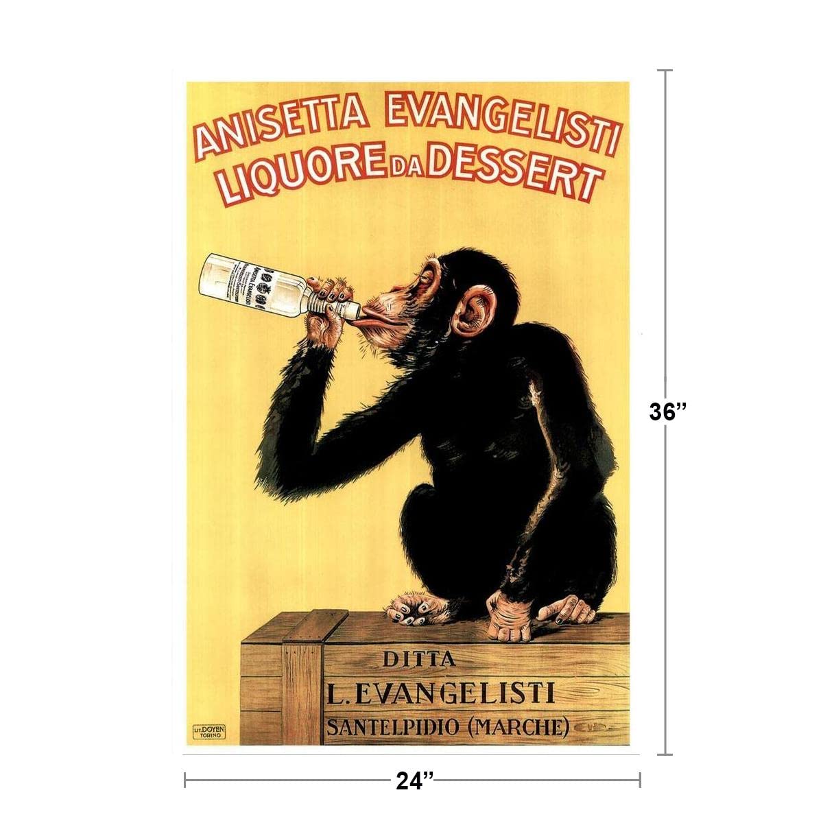 Amazon.com: Anisetta Evangelisti Liquore Da Dessert Monkey Poster