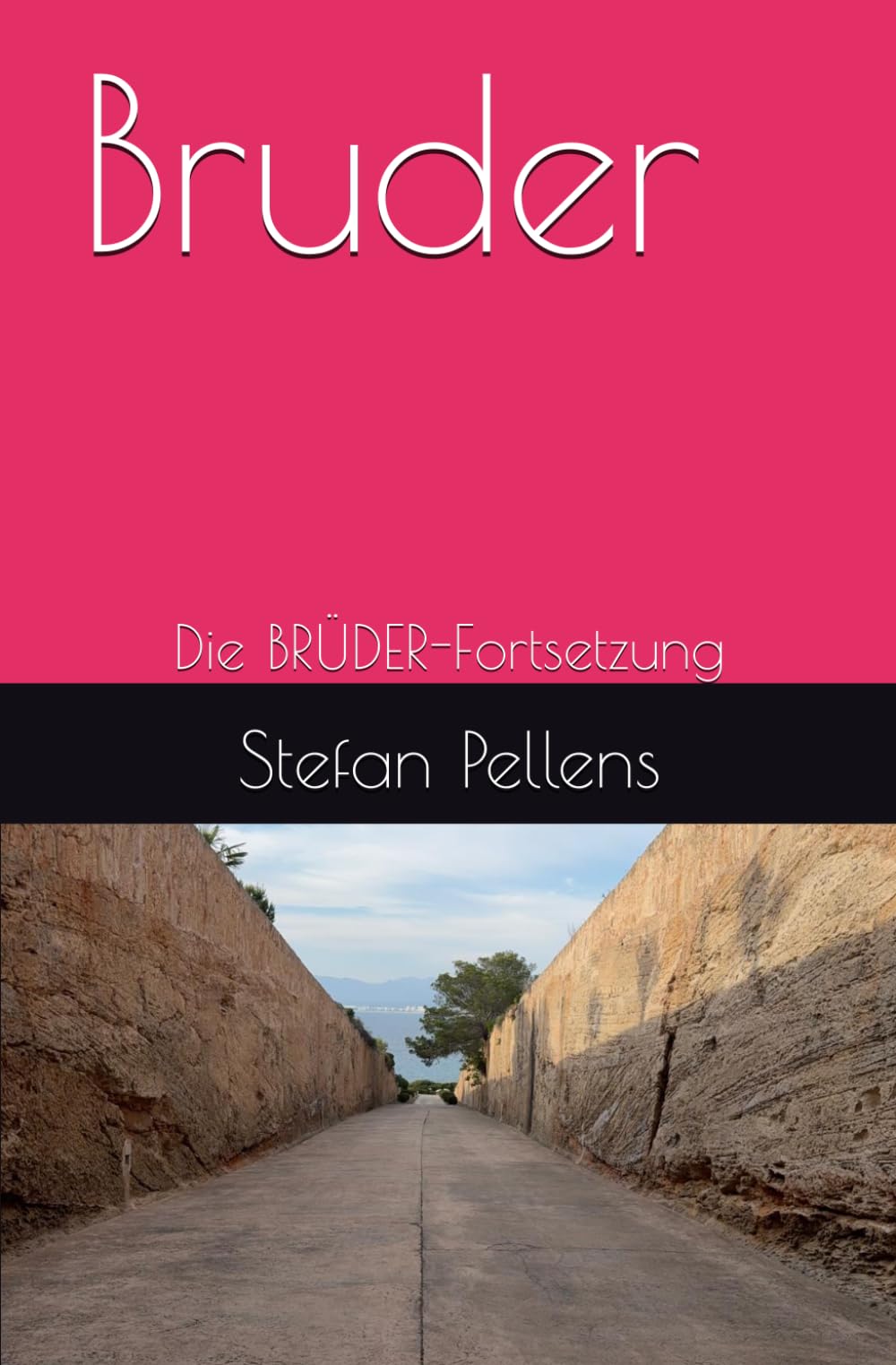 Bruder: Die BRÜDER-Fortsetzung