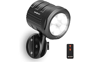 ASOFTY 6 LED Outdoor Light with Remote Control