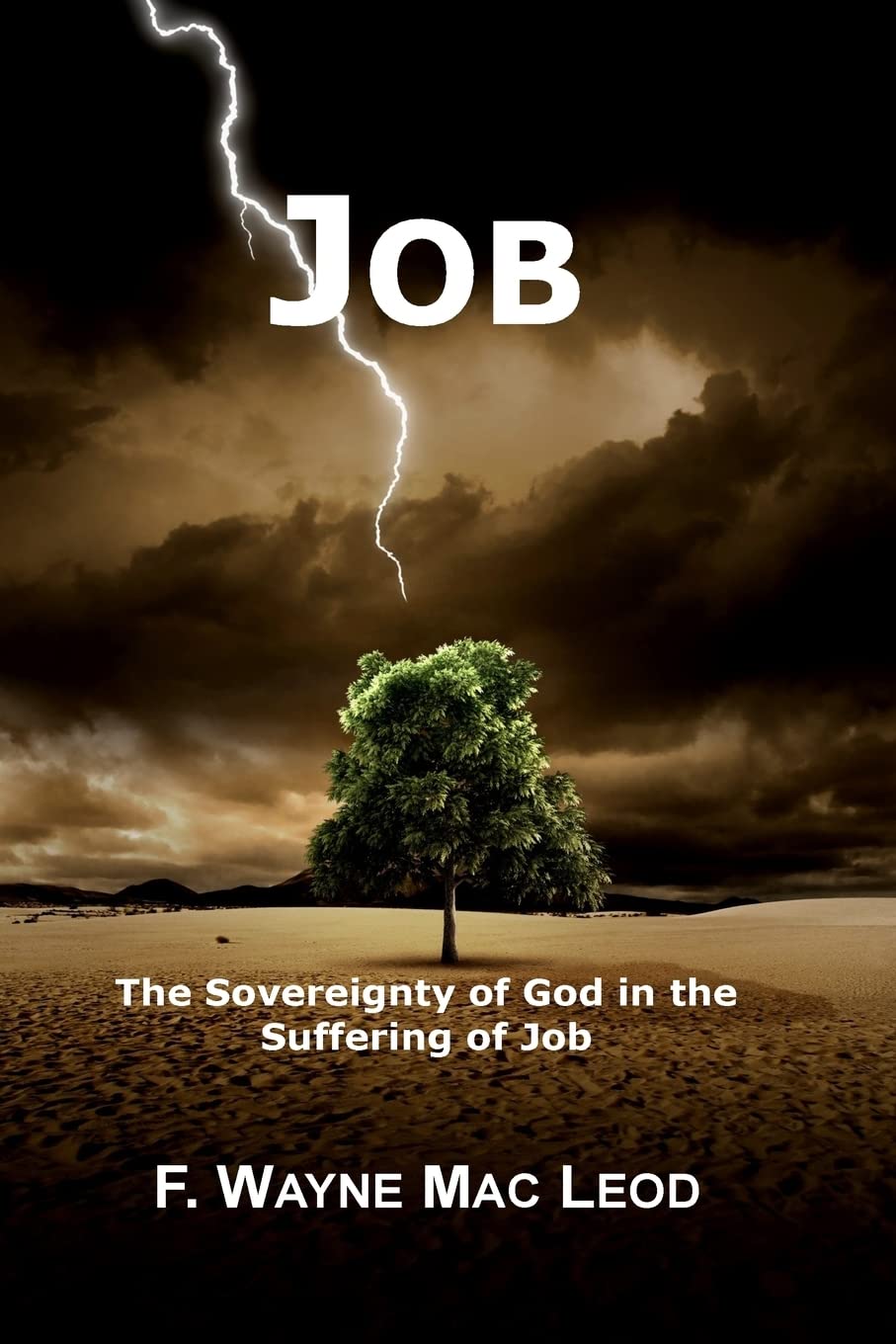 Job: The Sovereignty of God in the Suffering of Job: Volume 11 (Light To My Path Devotional Commentaries)