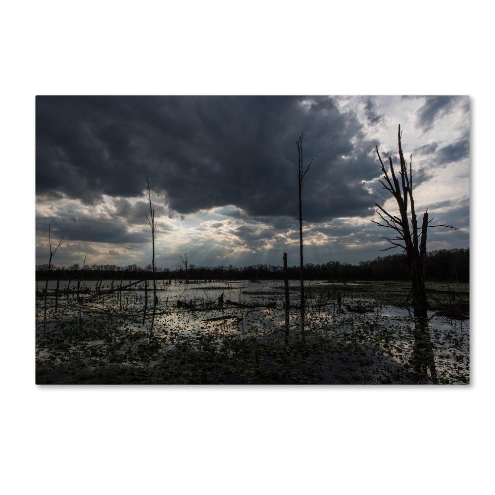 Ohio Wetlands by Kurt Shaffer, 12x19-Inch Canvas Wall Art