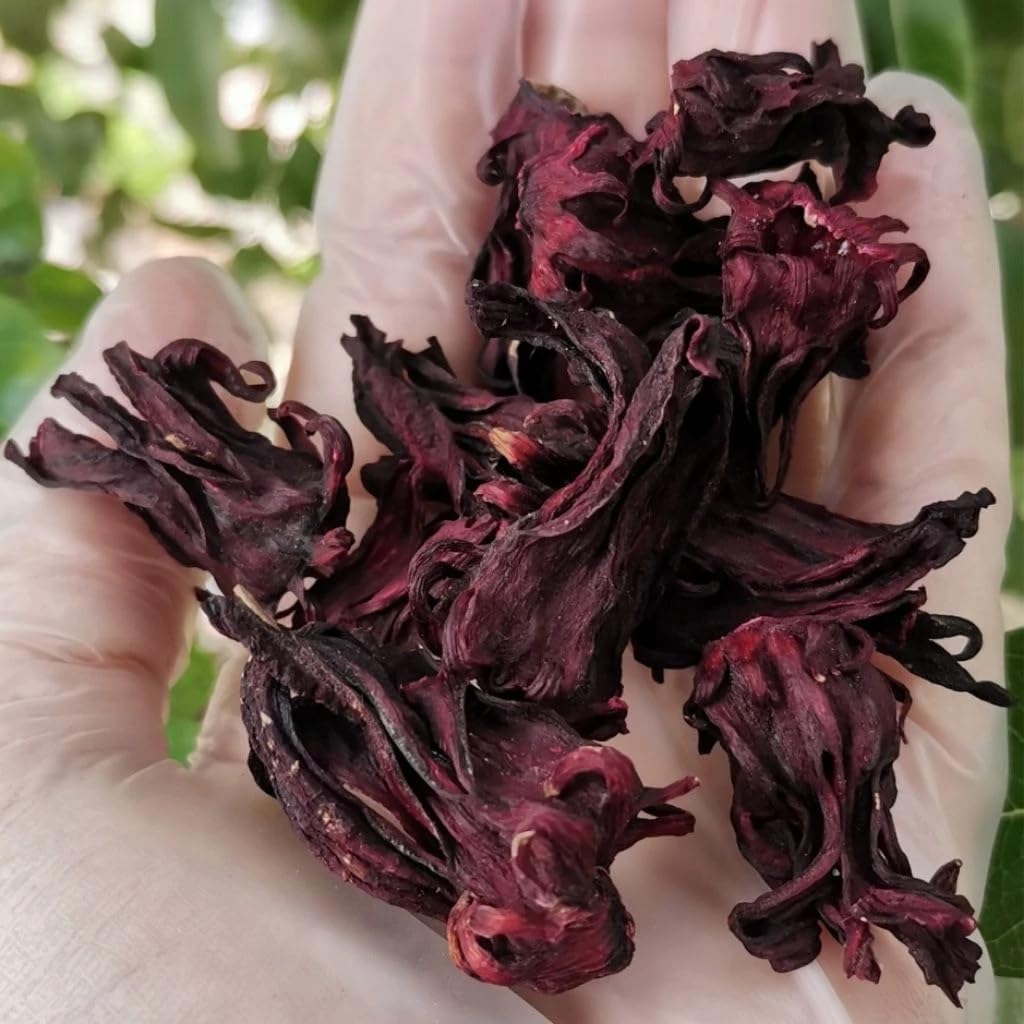 ปันคุณสมุนไพร Premium Dried Roselle Calyx – Whole Hibiscus Sabdariffa Flowers for Vibrant Herbal Tea & Jam Making 100g