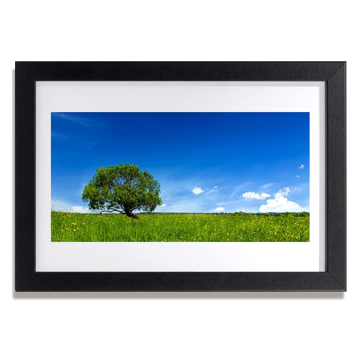 Affiche encadrée salon et chambre image nature d'herbe cadre MDF 30x20 - 5