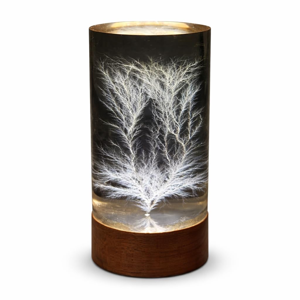 Lichtenberg Blitz Skulptur mit separater LED-Display-Basis | Wissenschaftliches Kunstobjekt mit Mustern hoher Spannung; Deko für Schreibtisch & Regal, Geschenk für Tech-Enthusiasten