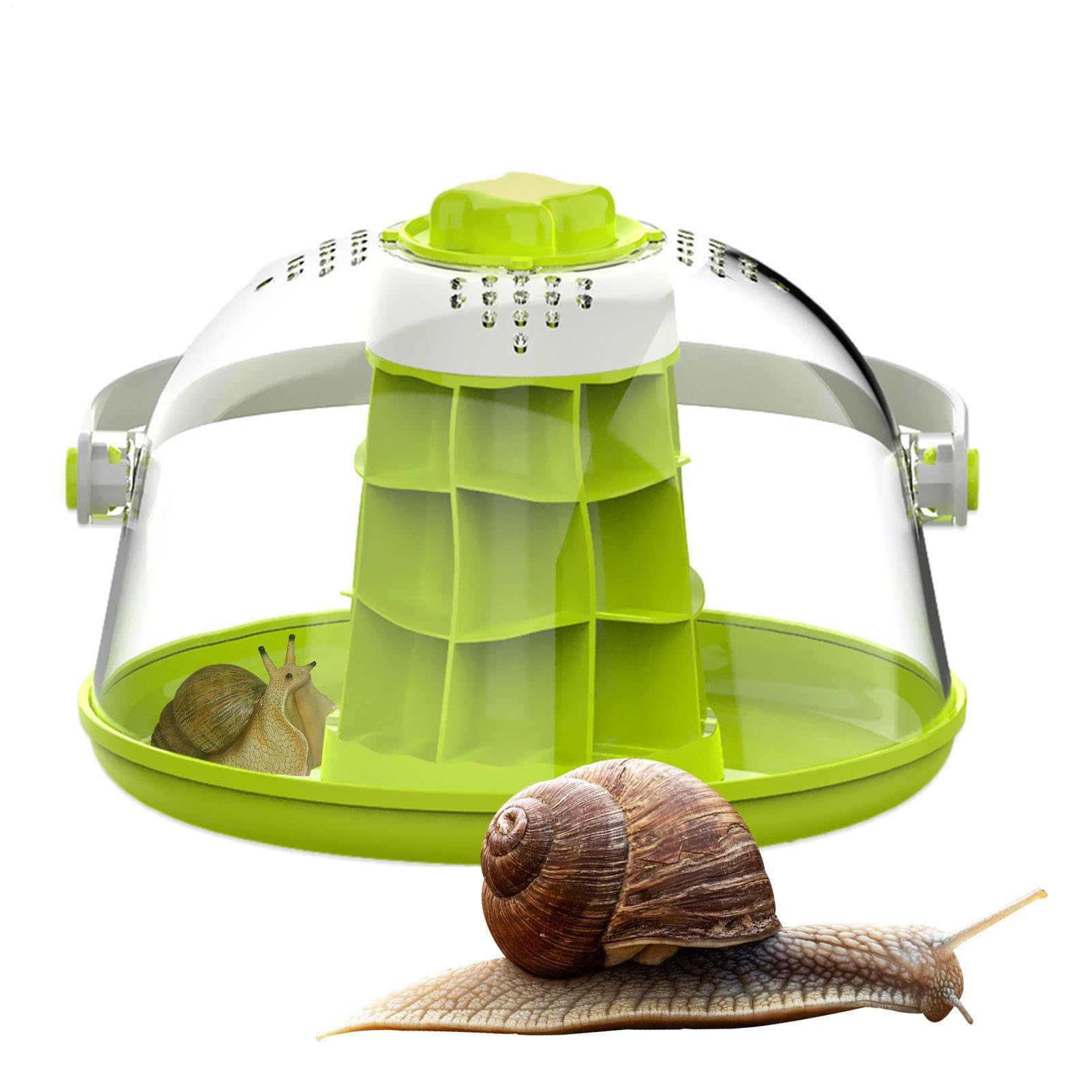 Terrario Caracoles, Hábitat De Reptiles De Terrario, Caja De Alimentación De Reptiles, Transpirable Miini Pet House Para Caracoles,
