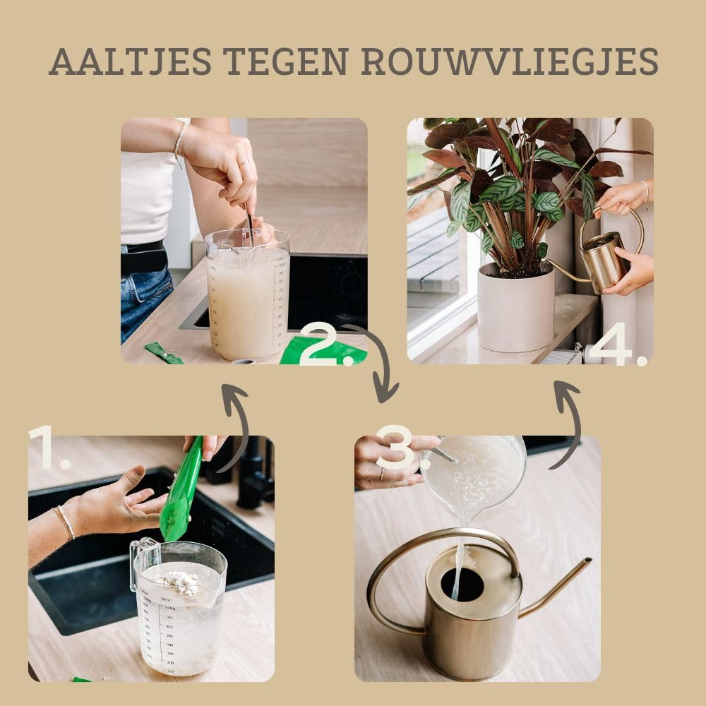 Pokon Nematoden gegen Trauermücken + Gelbtafeln - Komplettset zur Bekämpfung - Für mehr als 10 Pflanzen & 15 Bio Fangbilder - Gegen Larven & Fliegen