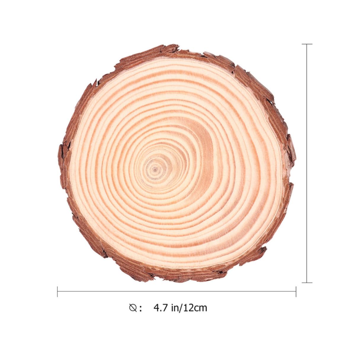 12 Piezas Rodajas de Madera Natural Redondas para Manualidades