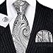 Barry.Wang Paisley Tie Fashion Set Hanky Cufflinks Neckties for Men Woven Silk
