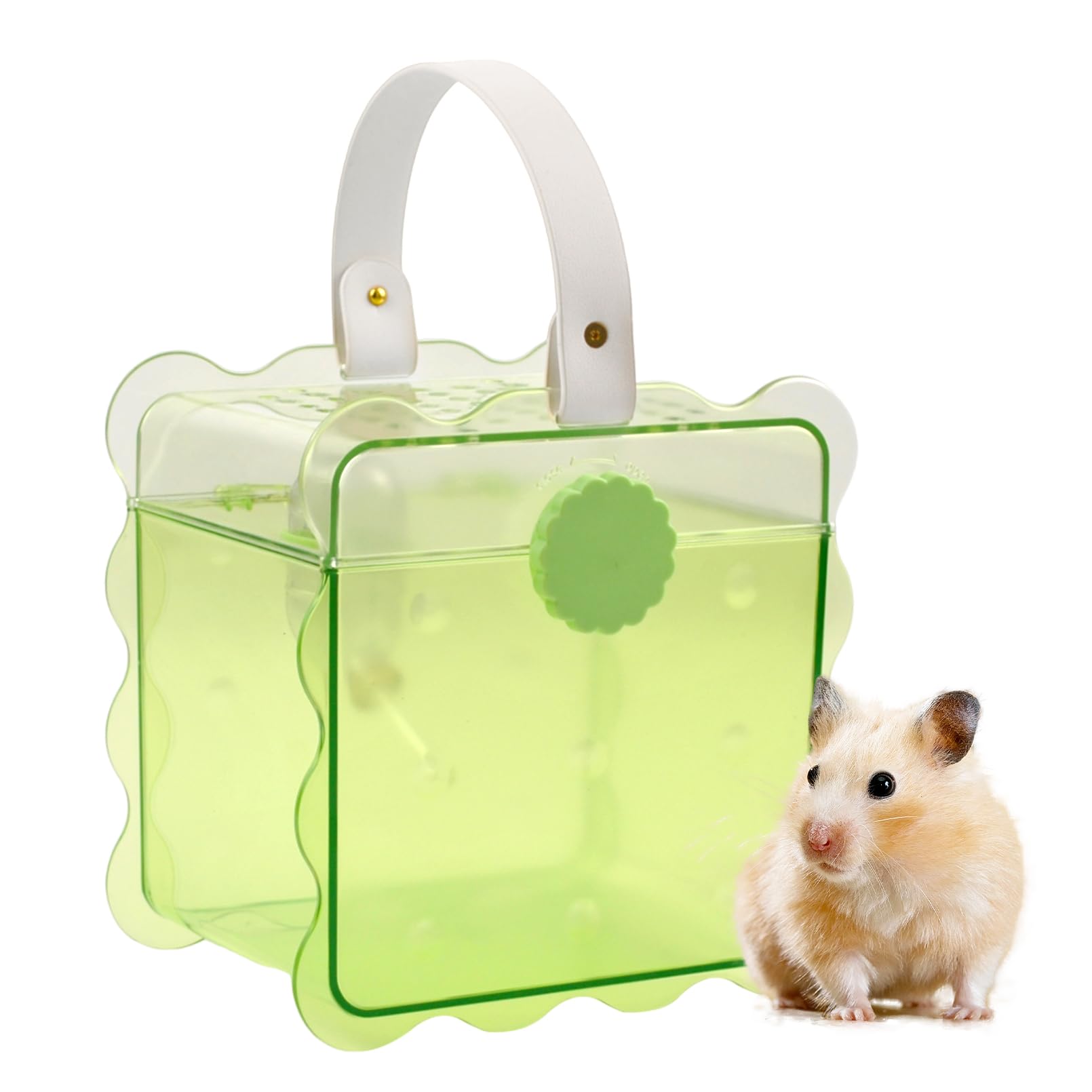 MUYG Portable Hamster Travel Cage,Dwarf Hamster Carrier Cages with Water Bottle Breathable Small Animal Outgoing Carry Case for Mice, Dwarf Hamster,Sugar Glider,Gerbils(Green)