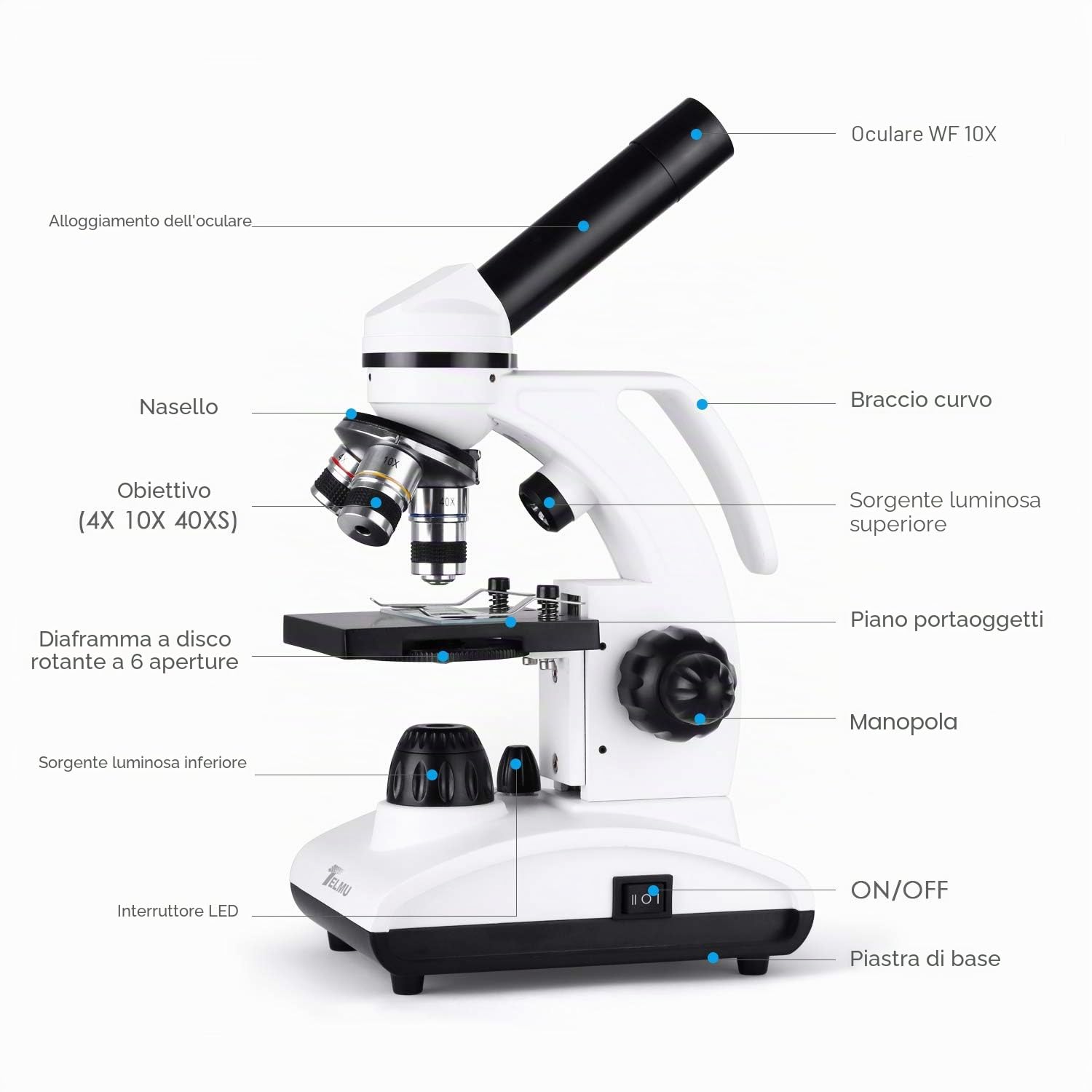 Microscopio biologico monoculare (40-1000x), dotato di sorgente luminosa a LED e supporto per cellulare.