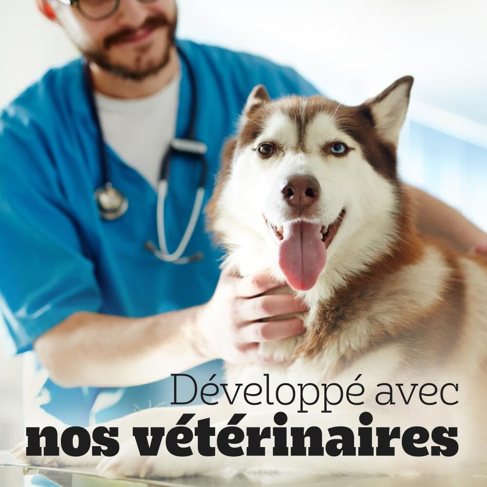 Pedigree Dentastix Chewy Chunx – Pour moyen/grand chien (15+ kg) – Friandises au poulet – Pour une bonne hygiène bucco-dentaire – 5 sachets de 68g