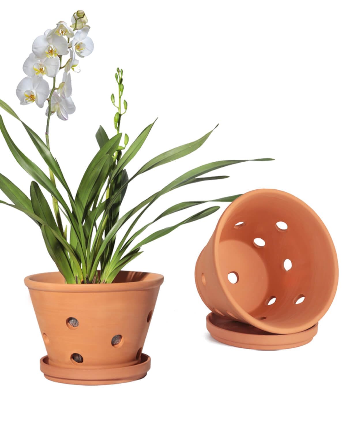 vensovo 8 Inch Terracotta Orchid Pots
