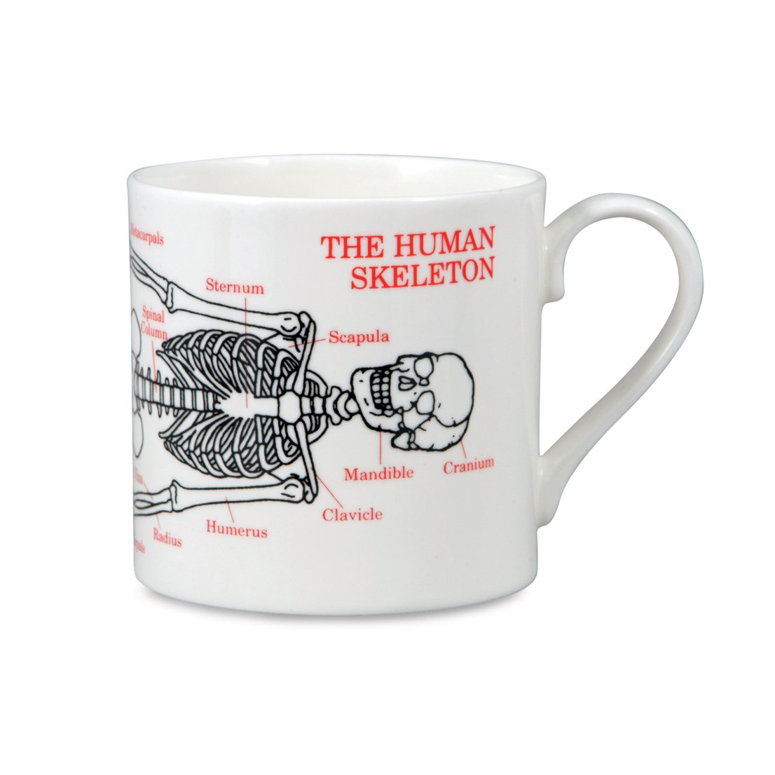 Mclaggan Smith Skeleton, Fine Bone China Mug