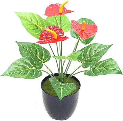 Amazon Creacom 造花 アンスリウム 置物 インテリア おしゃれ 可愛い 雑貨 飾り物 花束 インテリア 小物 お返し 恋人 男性 女性 誕生日 ギフト 感謝 記念日 お祝い 植木鉢を除く 造花 オンライン通販 Amazon Creacom 造花 アンスリウム 置物 インテリア おしゃれ 可愛い 雑貨 飾り物 花束 インテリア 小物 お返し 恋人 男性 女性 誕生日 ギフト 感謝 記念日 お祝い 植木鉢を除く 造花 オンライン通販
