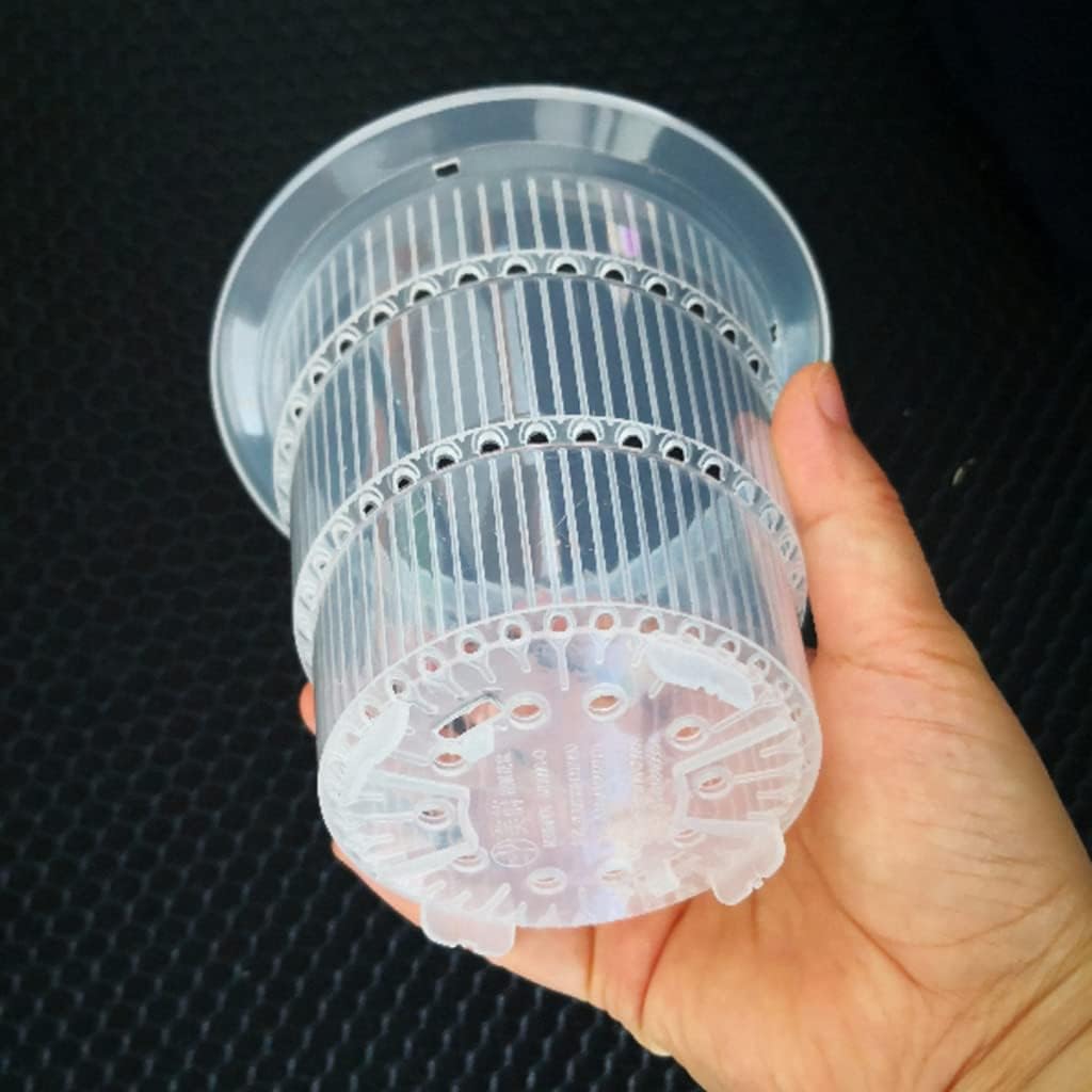 神帝、完成せり〜 シークレット 4枚 神帝、完成せり ルナティック