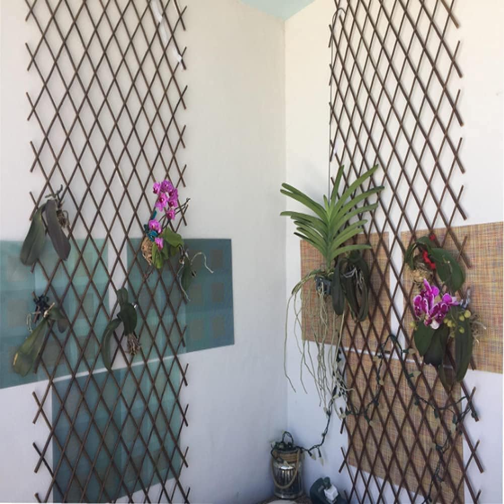 2 Pack Willow Expandable Lattices Fence，Garden Fence Trellis for Climbing Plants Support 36x92 Inch (2)