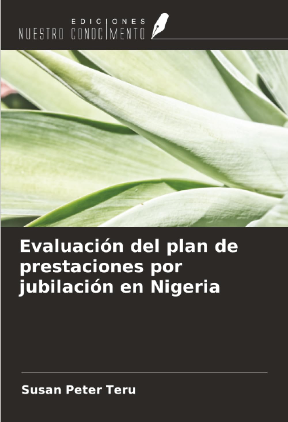Evaluación del plan de prestaciones por jubilación en Nigeria