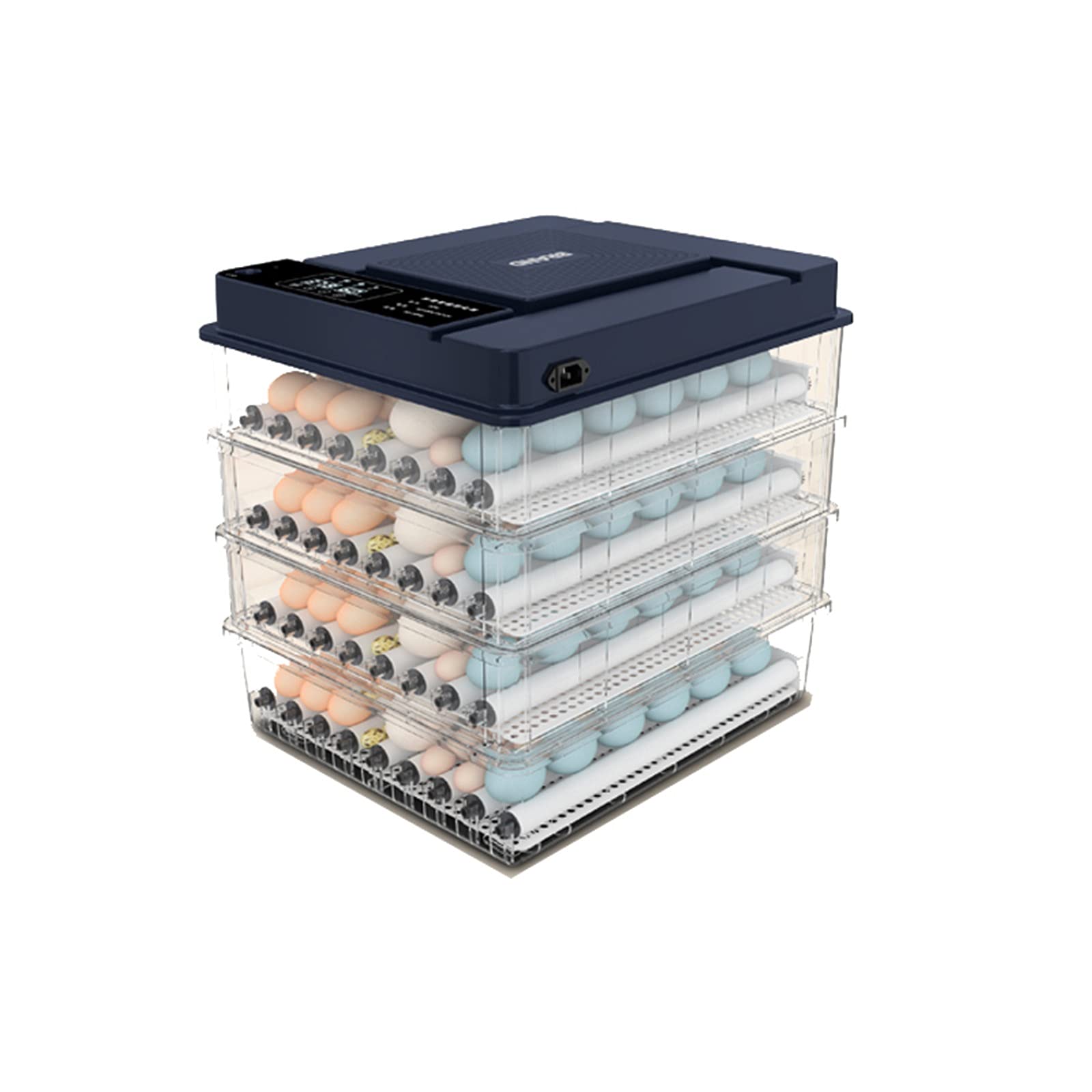 Buy TANGIST Fertilized Duck Eggs Hatching Incubator Chicken Automatic