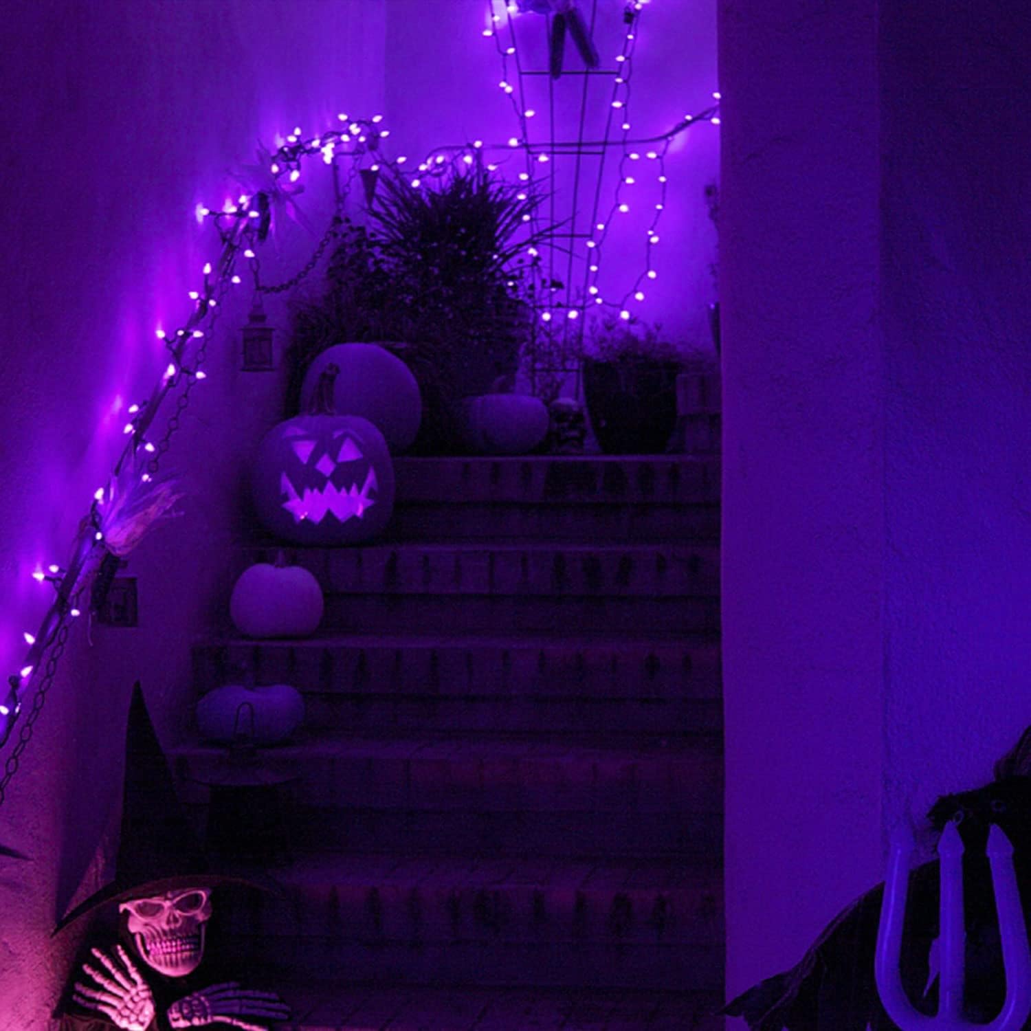 JMEXSUSS Purple Solar Halloween Lights（Solar String Lights and Solar Fairy Lights）