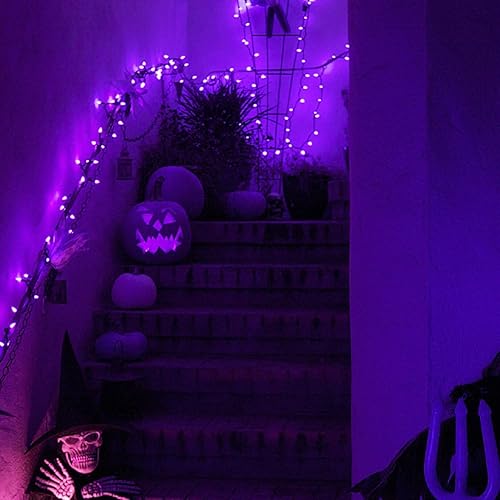 Miniatura 4 de JMEXSUSS Luces solares de Halloween moradas (cadena de luces solares y luces de hadas solares)