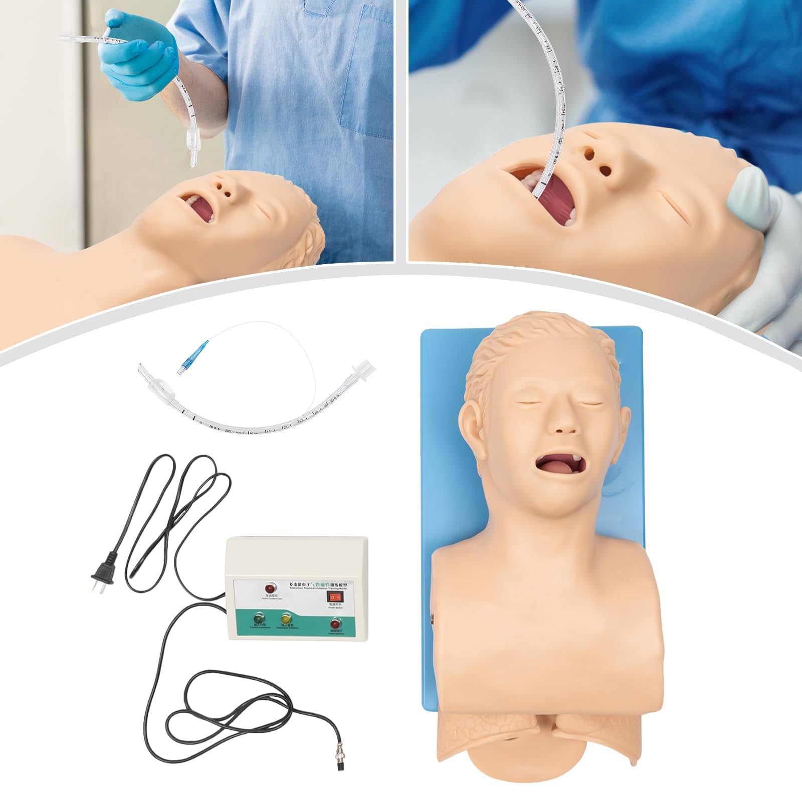 Interubation Trainer Manikin EnseñAnza Modelo,InterubacióN De Adultos Manikin Managemento De La VíA AéRea IntubacióN Traqueal Manikin Oral Nasal Entrenamiento