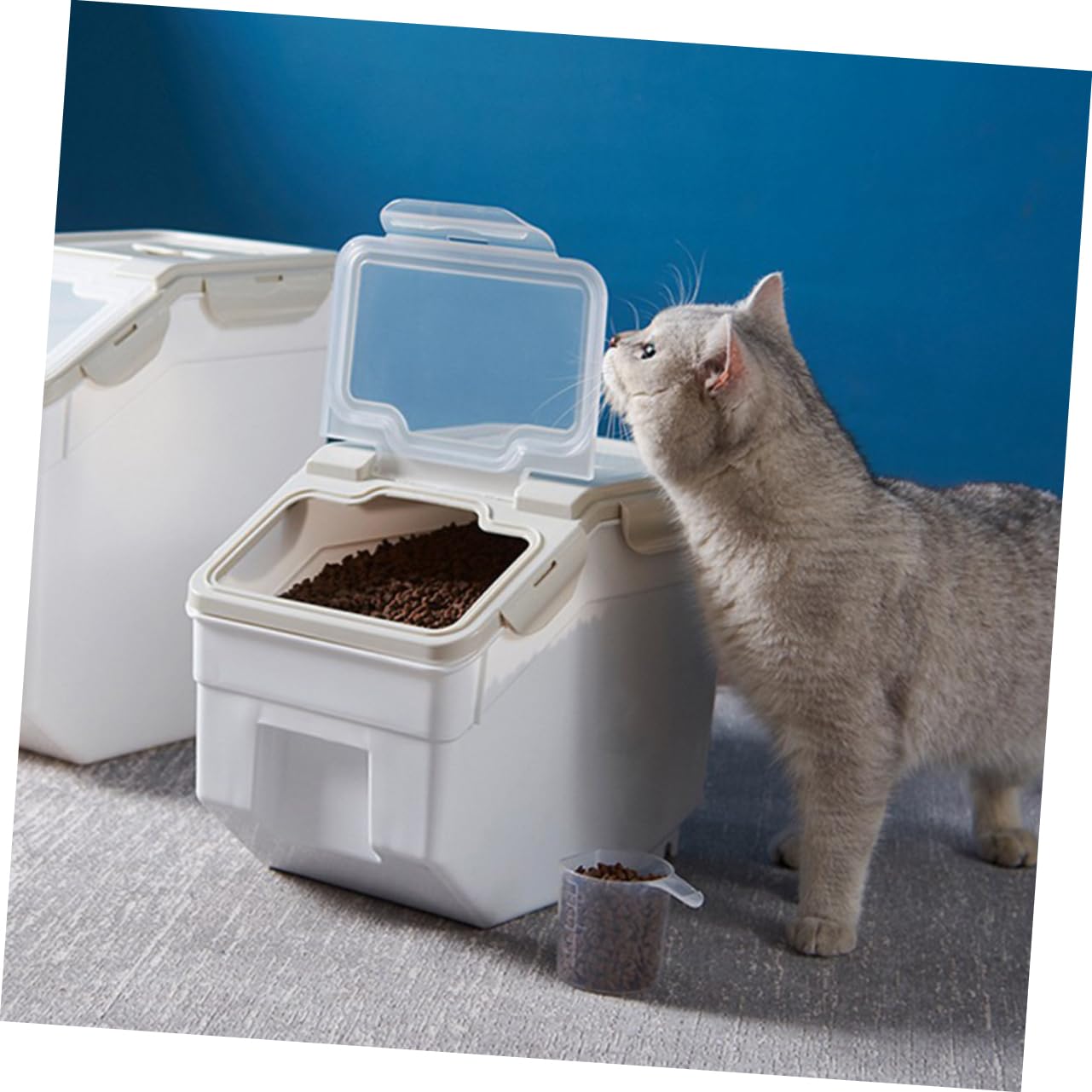 ibasenice 1pezzi Contenitore Per Per Animali Domestici Secchio Sigillante Realizzato in Plastica Pp Di Struttura Resistente e Salutare Per Alimenti Secchi Ecc Garantisce Conservazione Lunga
