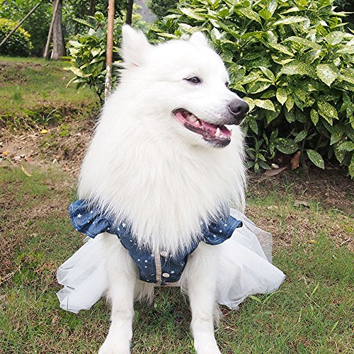 Polka Dot Big Large Dog Princess Dress Tutu Skirt Golden Retriever Pitbull Summer Dog Clothes Hoodie Costume (Xl, Blue) #TOP6