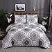 LyTble Duvet Cover Queen Size 100% Microfiber Bedding Sets Queen with Zipper Closure,Bohemian Decor Lightweight and Ultra Soft (Bohemian Black, Queen)