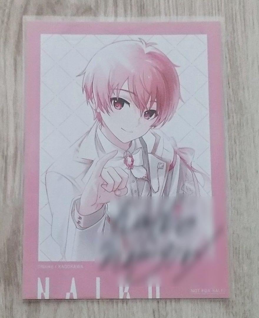 歌い手 しゅーず ブロマイド・メモカ 計237枚 : 限定特典 いれいす