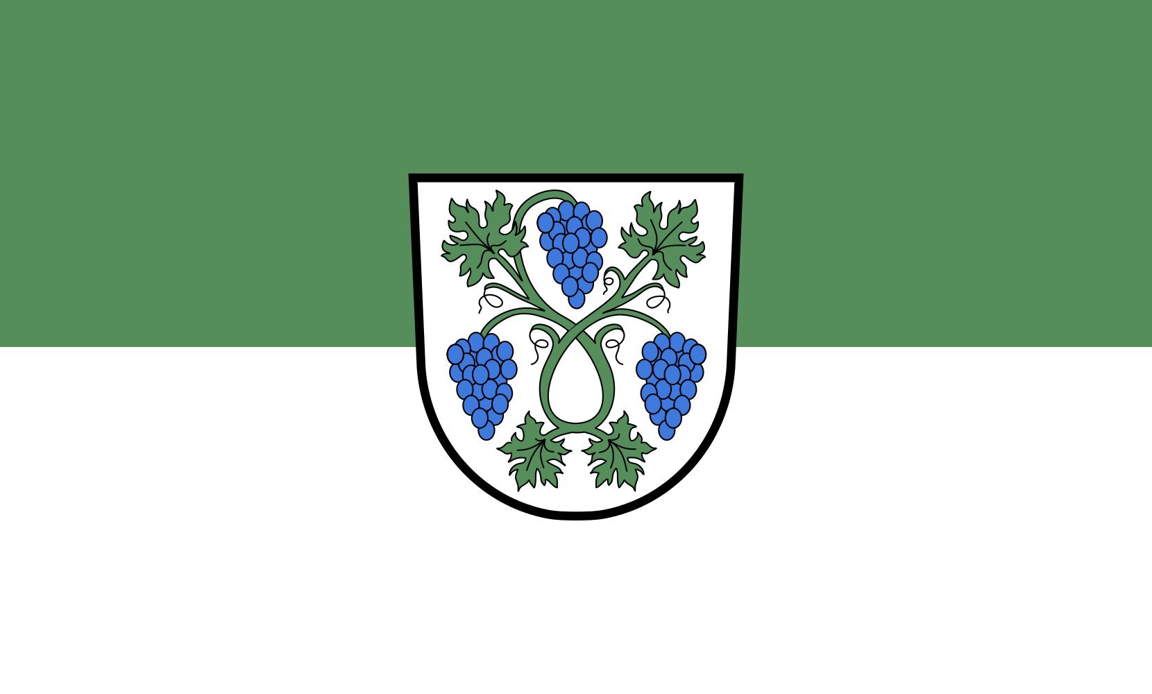 Drapeau paysage grand format Dossenheim 1.35m² pour pavoisement extérieur
