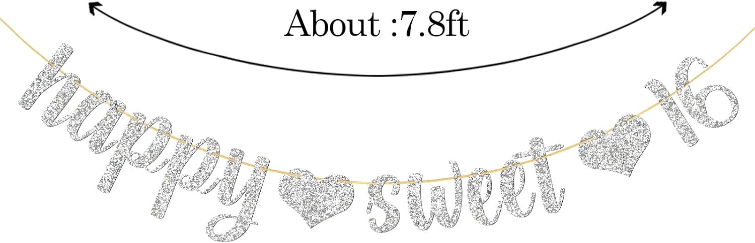 WeBenison Silver 16th Birthday Party Banner, Girl's Sweet 16 Party Supplies, Sixteen Sign, Paper Rectangular Banner image 2