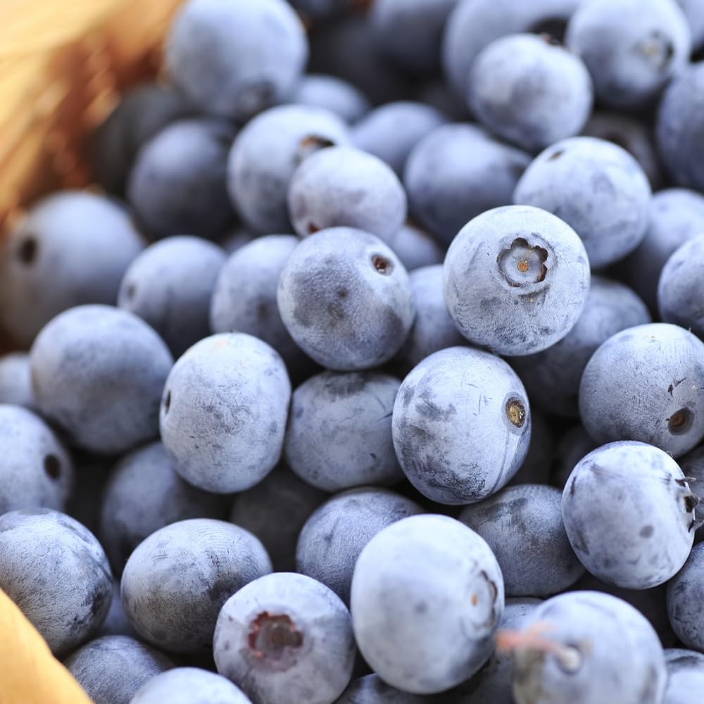 食探七福神 山形県羽黒地区産 冷凍ブルーベリー 完熟 手摘み ヨーグルト アイス トッピング スムージー ジャム お菓子 健康志向