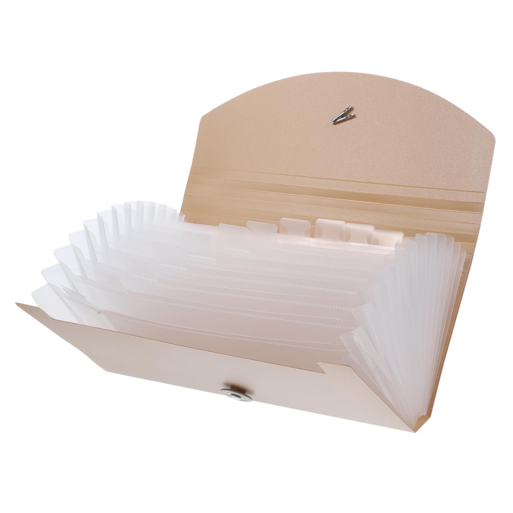 Homoyoyo Cartella Espandibile Per Documenti in Plastica Pp Organizer Fisarmonica e Etichette Colorate Per Classificare File Protetti Impermeabilmente